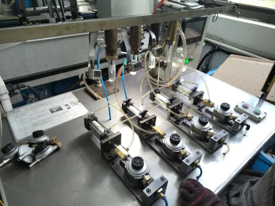 LPG Pressure Gas Regulator with Dvgw Hose